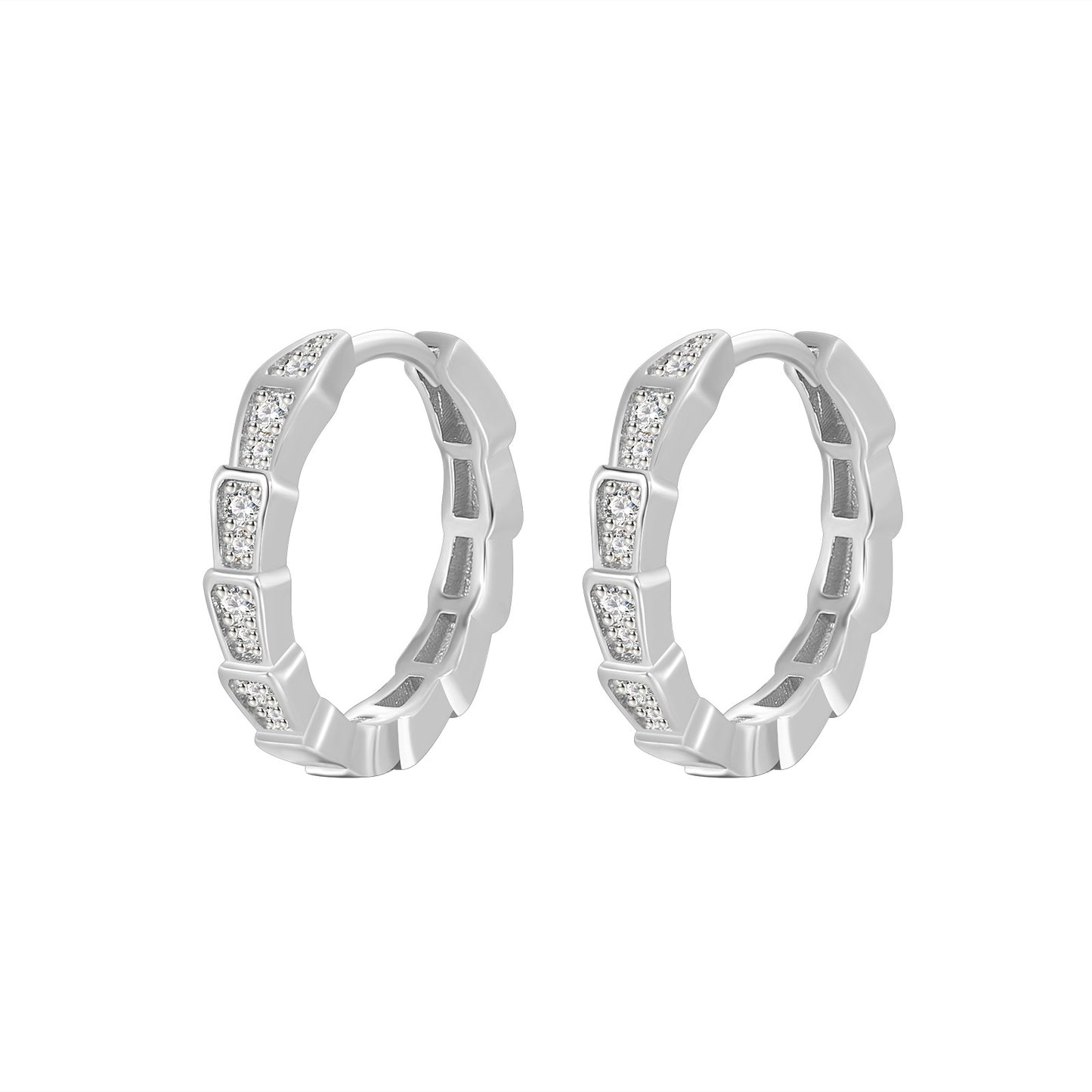 Snake Gold Hoops Earrings For Women Trendy