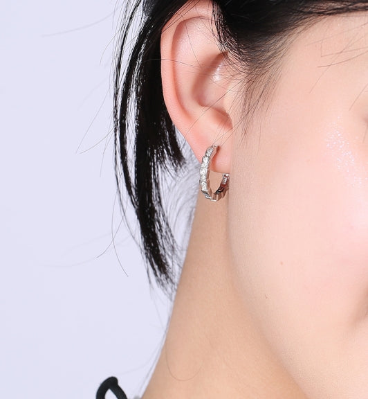 Snake Gold Hoops Earrings For Women Trendy