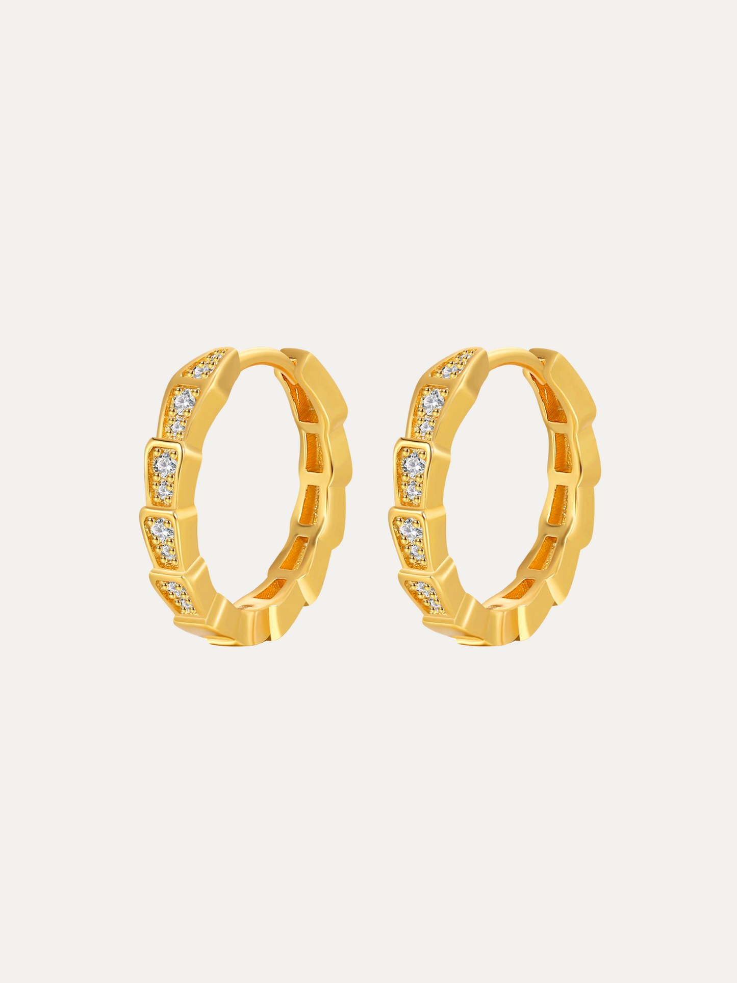 Snake Gold Hoops Earrings For Women Trendy