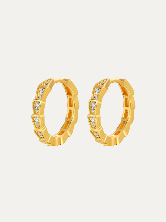 Snake Gold Hoops Earrings For Women Trendy