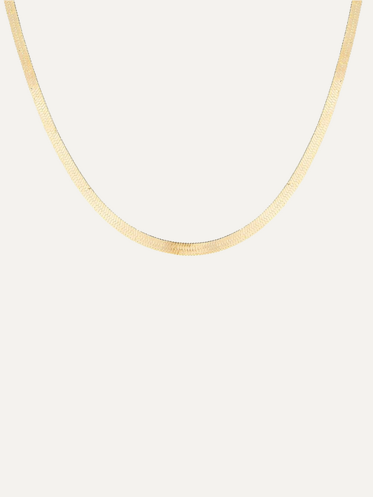 Gold Blade chain Choker Necklace for Women Sexy  Flat snake chain Gift